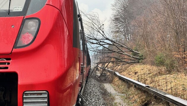 Da der gefällte Baum die Oberleitung auf den Zug drückte, stand dieser unter Strom. (Bild: Bundespolizeiinspektion München)