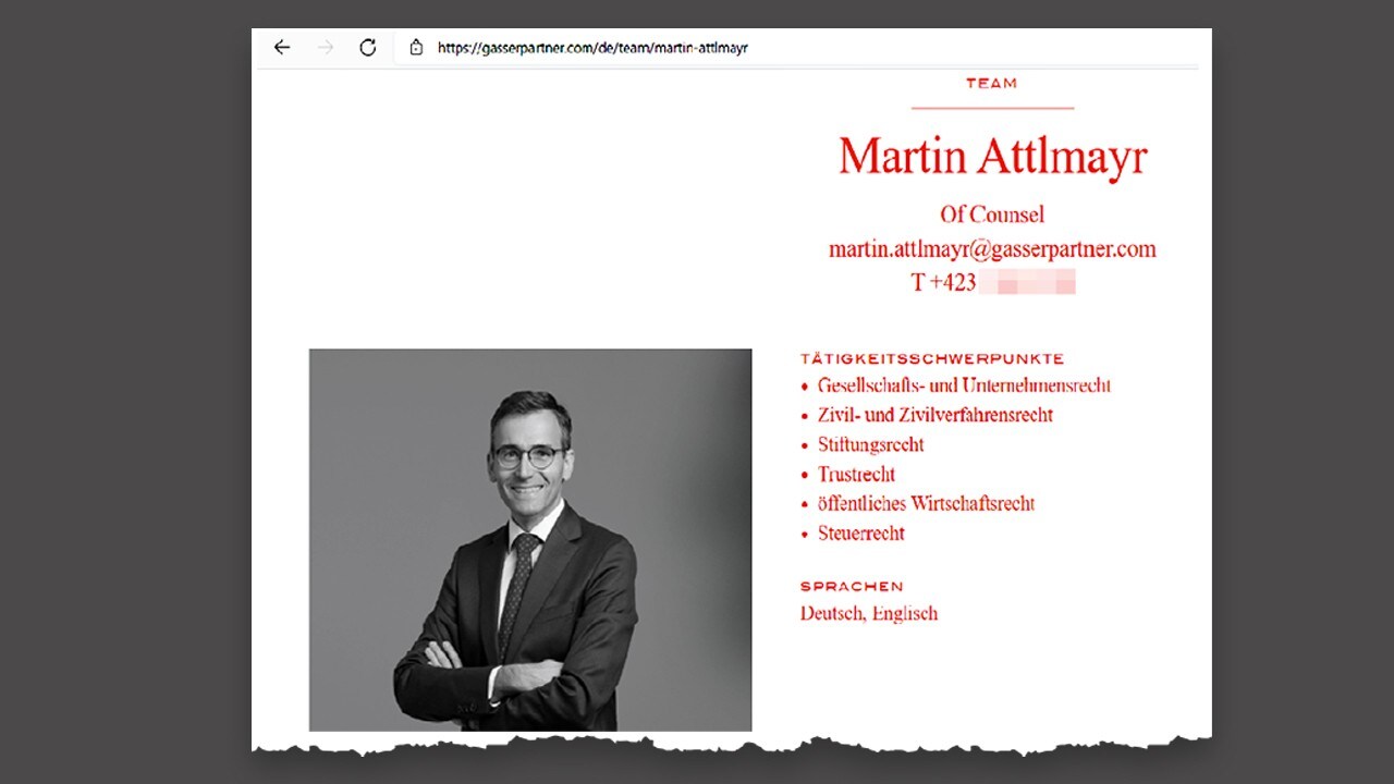 A honlapon 2021-ig: Bíró egy neves ügyvédi iroda csapattagjaként (Bild: Krone KREATIV)