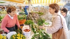 Am Grazer Kaiser-Josef-Platz herrscht vor Ostern beim Stand von Herta Schaffler reges Treiben. (Bild: Sepp Pail)