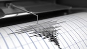 Das Beben wurde auch in Österreich registriert (Symbolbild).