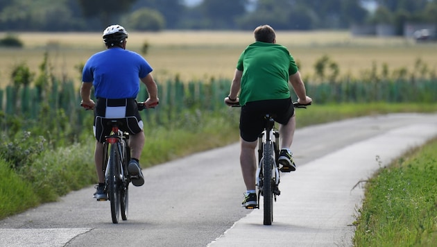 İster düz ister engebeli olsun: e-bisikletle daha kolay. (Bild: Huber Patrick)