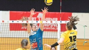 Marie Nevot und TI-Volley haben das Finale vor Augen. (Bild: GEPA pictures)