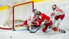 Goalie Tolvanen kassierte nur einen Treffer – der war kurios. (Bild: GEPA pictures/ Valentina Gallina)