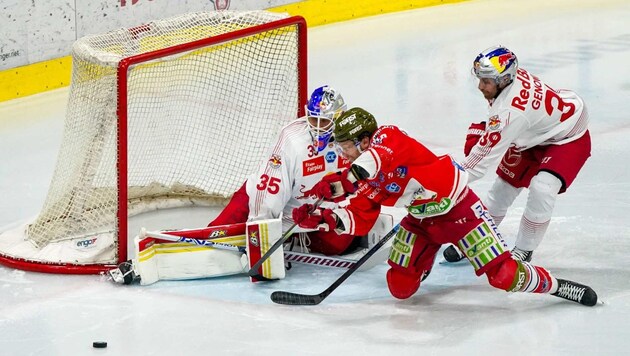 Goalie Tolvanen only conceded one goal - which was a curious one. (Bild: GEPA pictures/ Valentina Gallina)
