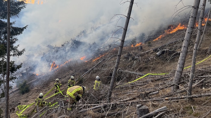 Ein Waldbrand in Sillian, Einsatzkräfte erhalten bisher nur eine Pauschale.