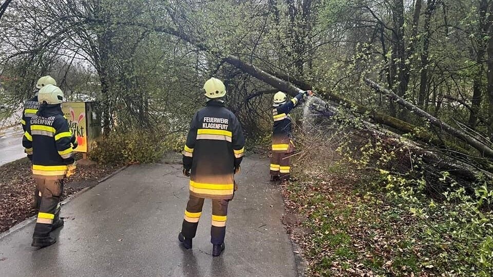 A kerékpárutat gyorsan felszabadították. (Bild: FF Kalvarienberg)