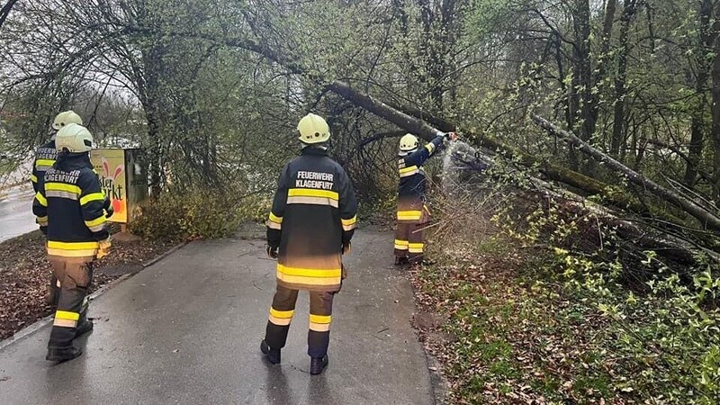 Der Radweg wurde rasch freigelegt. (Bild: FF Kalvarienberg)