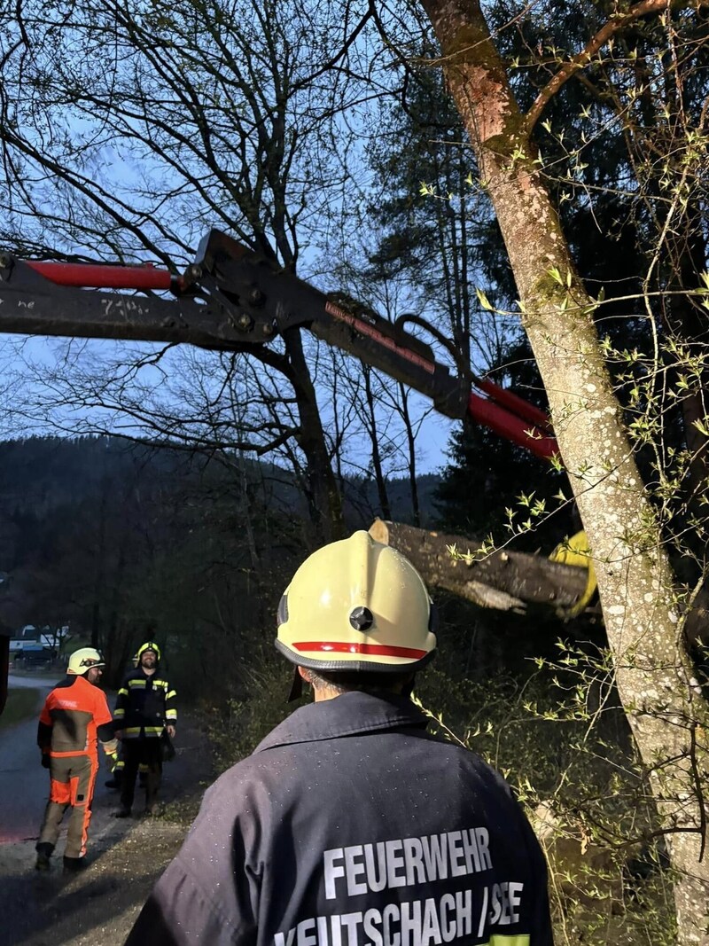 Mit dem Forstkran konnte der Baum rasch beseitigt werden. (Bild: FF Keutschach)