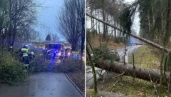 Einsätze gab es hauptsächlich wegen umgestürzter Bäume. (Bild: FF Kalvarienberg/Brückl)