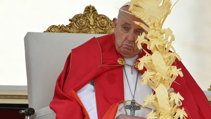 Franziskus am Palmsonntag