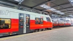 Zu dem Vorfall war es kurz nach Mitternacht in einer Wiener S-Bahn gekommen (Symbolbild). (Bild: Stefan Steinkogler)