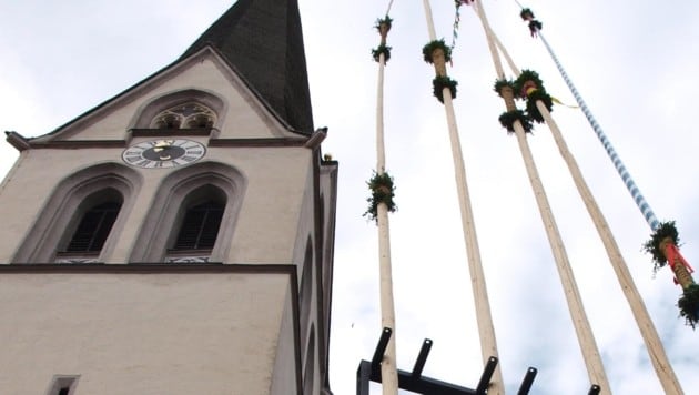 Once again this year, the palm slats grew into the sky. (Bild: Daum Hubert)