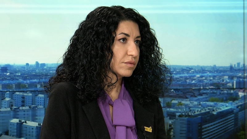 Shoura Zehetner-Hashemi von Amnesty International im krone.tv Talk. (Bild: krone.tv)