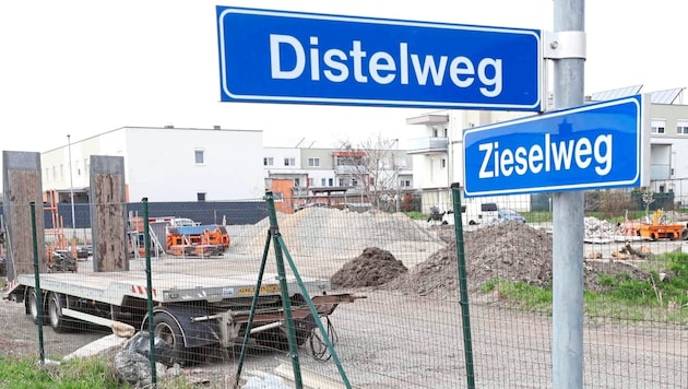 Apparently arbitrarily constructed driveways are causing trouble in Zieselweg and Distelweg. (Bild: Reinhard Judt)