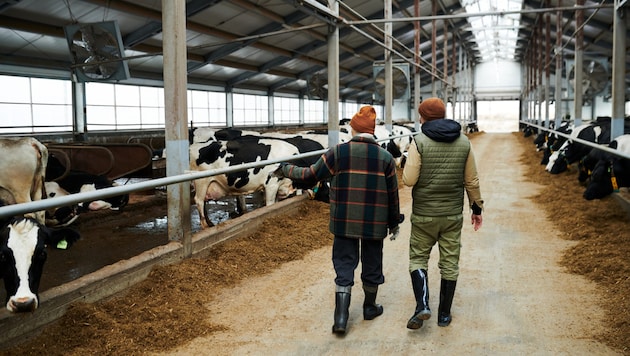 Die Landwirtschaft steht vor Herausforderungen – nicht nur in Österreich. (Bild: pressmaster - stock.adobe.com)