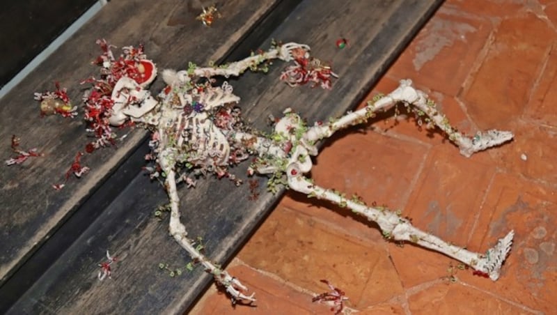 Ein mit glitzernden Diamanten verziertes Skelett in der Gruftkapelle. (Bild: Marion Hörmandinger)