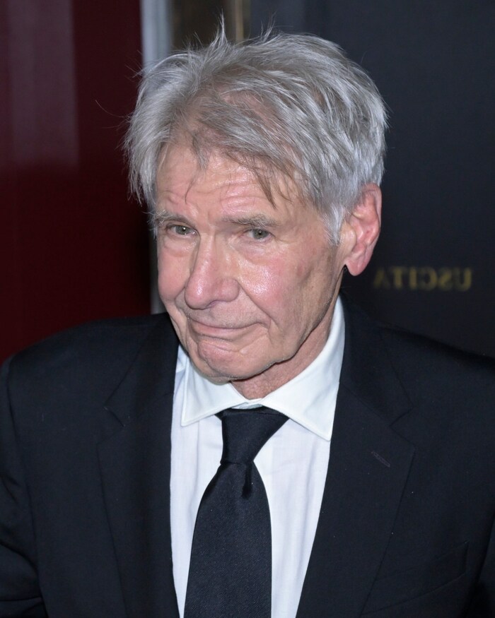Harrison Ford schaffte es vom einfachen Zimmermann zur Hollywood-Legende.