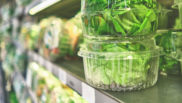 Drei Salate stellten sich aufgrund der mikrobiologischen Ergebnisse sogar als „nicht für den menschlichen Verzehr geeignet“ heraus. (Bild: rjankovsky - stock.adobe.com)