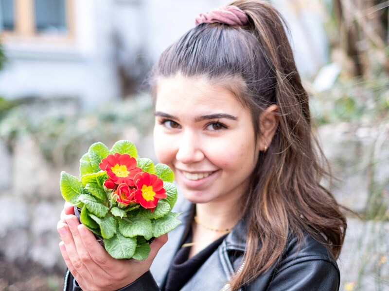 Die Tage werden länger, die Temperaturen steigen langsam, und auch die Pflanzen erwachen aus dem Winterschlaf. Eine farbenfrohe Blütenpracht erwartet die Besucher im Botanischen Garten Linz. Kosten: 4,10 Euro Datum: täglich von 9 bis 17 Uhr Infolink: botanischergarten.linz.at (Bild: Horst Einöder)