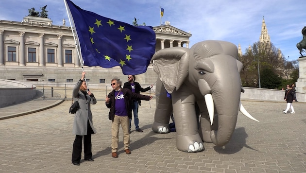 A Volt párt tagjai a bécsi parlament előtt (Bild: krone.tv )