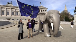 VOLT haben am Dienstag den Wahlkampf vorm Parlament mit einem aufblasbaren Elefanten eröffnet. (Bild: krone.tv )