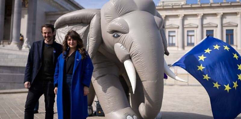 Nini Tsiklauri und Alexander Harrer vorm Parlament  (Bild: krone.tv )