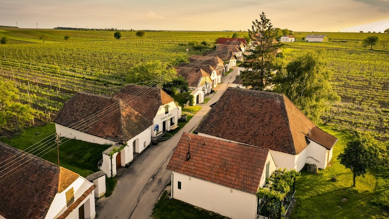 Eine Kellergasse weitab vom Dorf, umgeben von Weingärten: Daher stammt auch der Name „Kleine Dörfer beim Dorf“. (Bild: Weinviertel Tourismus)