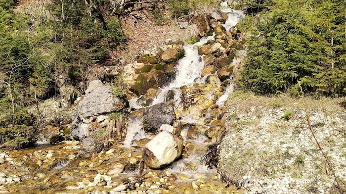 Again and again you will discover enchanting little streams along the route.