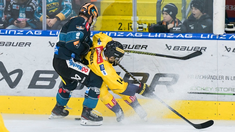 In the previous season, Zündel (right) was briefly loaned to the Vienna Capitals. (Bild: GEPA pictures)