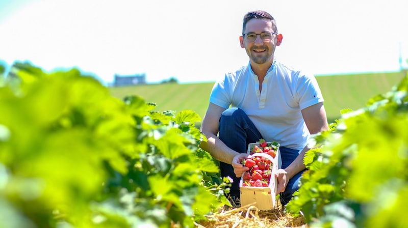 Andreas Hoffelner erwartet eine gute Saison für Erdbeeren. (Bild: Einöder Horst)