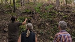 Der Förster (li.) bei der Waldbegehung. (Bild: Grüne)