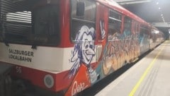 Diesen Mozart hinterließen die fünf deutschen Sprayer  (Bild: Salzburg Linien)