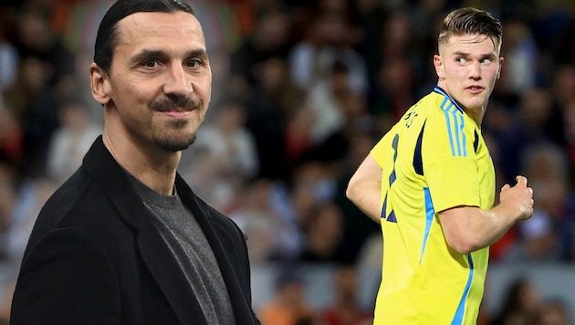 Zlatan Ibrahimovic wants to lure Viktor Gyökeres to Milan. (Bild: AP, krone.at-grafik)