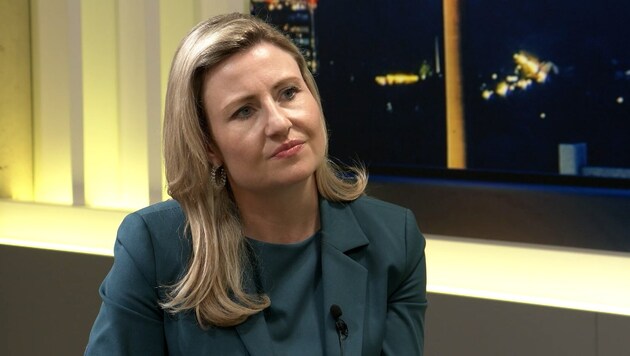 Susanne Raab integrációs miniszter (ÖVP) (Bild: krone.tv)