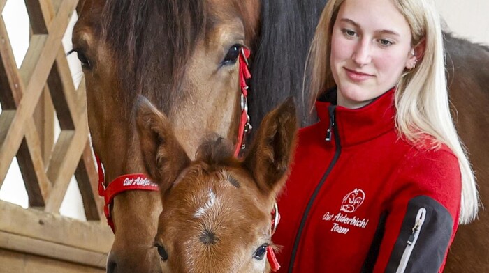 Tierpflegerin Julia mit Stute und Fohlen