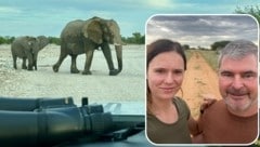 Vanessa und Tom Herzog machten zwölf Tage lang Safari in Namibia. (Bild: zVg)