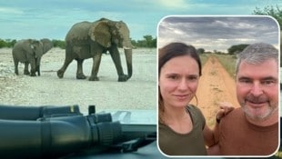 Vanessa und Tom Herzog machten zwölf Tage lang Safari in Namibia. (Bild: zVg)