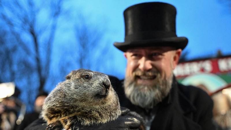 A.J. Dereume vom „Groundhog Club“ mit dem Nager (Bild: AP)