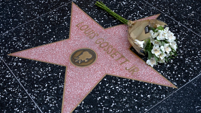 Fans legten Blumen auf dem Stern von Louis Gossett Jr. am „Walk of Fame“ ab.