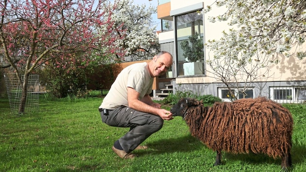 Werner Holzinger mit einem seiner zotteligen Haustiere im Grazer Bezirk Lend (Bild: Christian Jauschowetz)