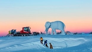 Pistenbully gegen (Schnee-)Elefanten-Bullen: Hannibals Schlacht am Gletscher in Sölden. (Bild: Ernst Lorenzi)