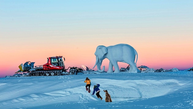 Pistenbully gegen (Schnee-)Elefanten-Bullen: Hannibals Schlacht am Gletscher in Sölden. (Bild: Ernst Lorenzi)