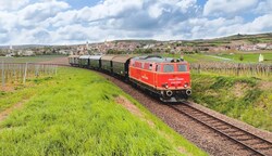 Vertreter des Vereins „Reblaus-Express“ und Politiker aus der Region wollen bis 1. Mai wieder drei Zugspaare auf der Strecke. (Bild: NB/Rigl Niklas)