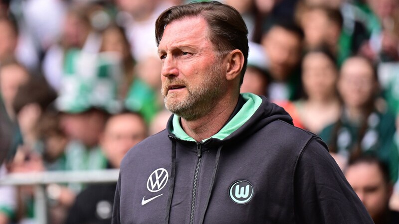 Ralph hasenhüttl ist zurück in der deutschen Bundesliga. (Bild: GEPA)