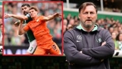 Geglückter Einstand als Wolfsburg-Coach für Ralph Hasenhüttl (Bild: GEPA)