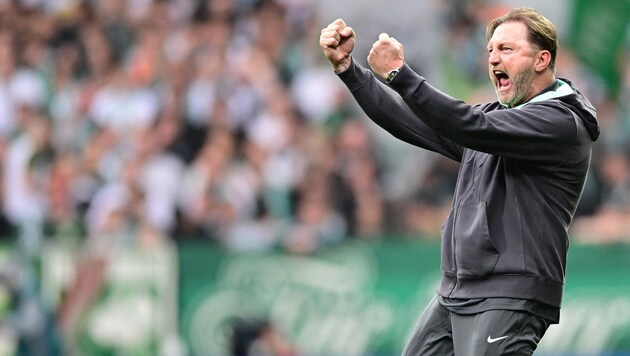Gelungenes Debüt für Ralph Hasenhüttl als Wolfsburg-Trainer (Bild: GEPA pictures)