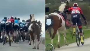 Lars Daniels gelang es, das aufgescheuchte Pferd zu beruhigen und die Situation zu entschärfen. (Bild: Instagram/askerckeliteherrer)