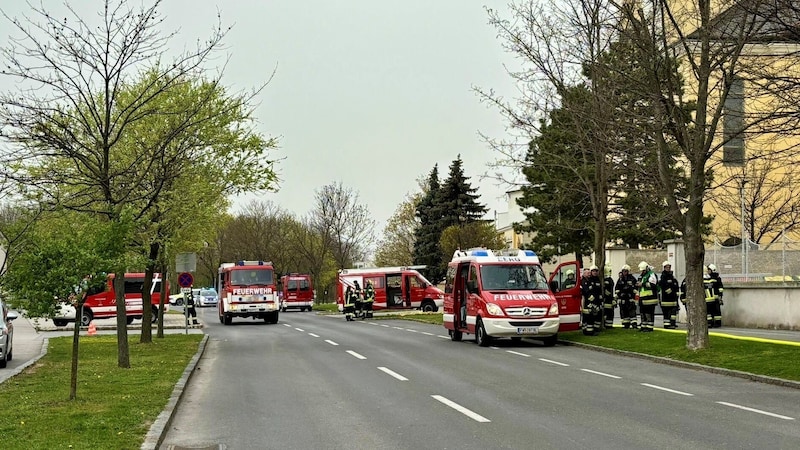 Drei Feuerwehren waren insgesamt im Einsatz. (Bild: FF Kittsee)