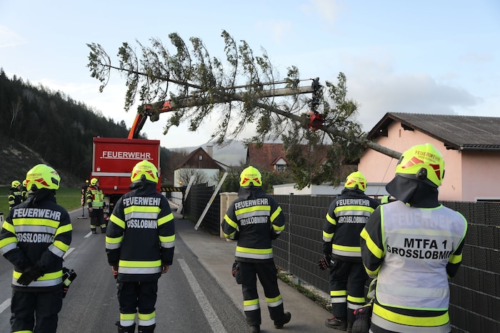 Numerous fallen trees due to the violent storm in Styria