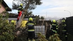 Umgestürzte Bäume sorgten am Montag für Chaos in Österreich. (Bild: APA/THOMAS ZEILER)